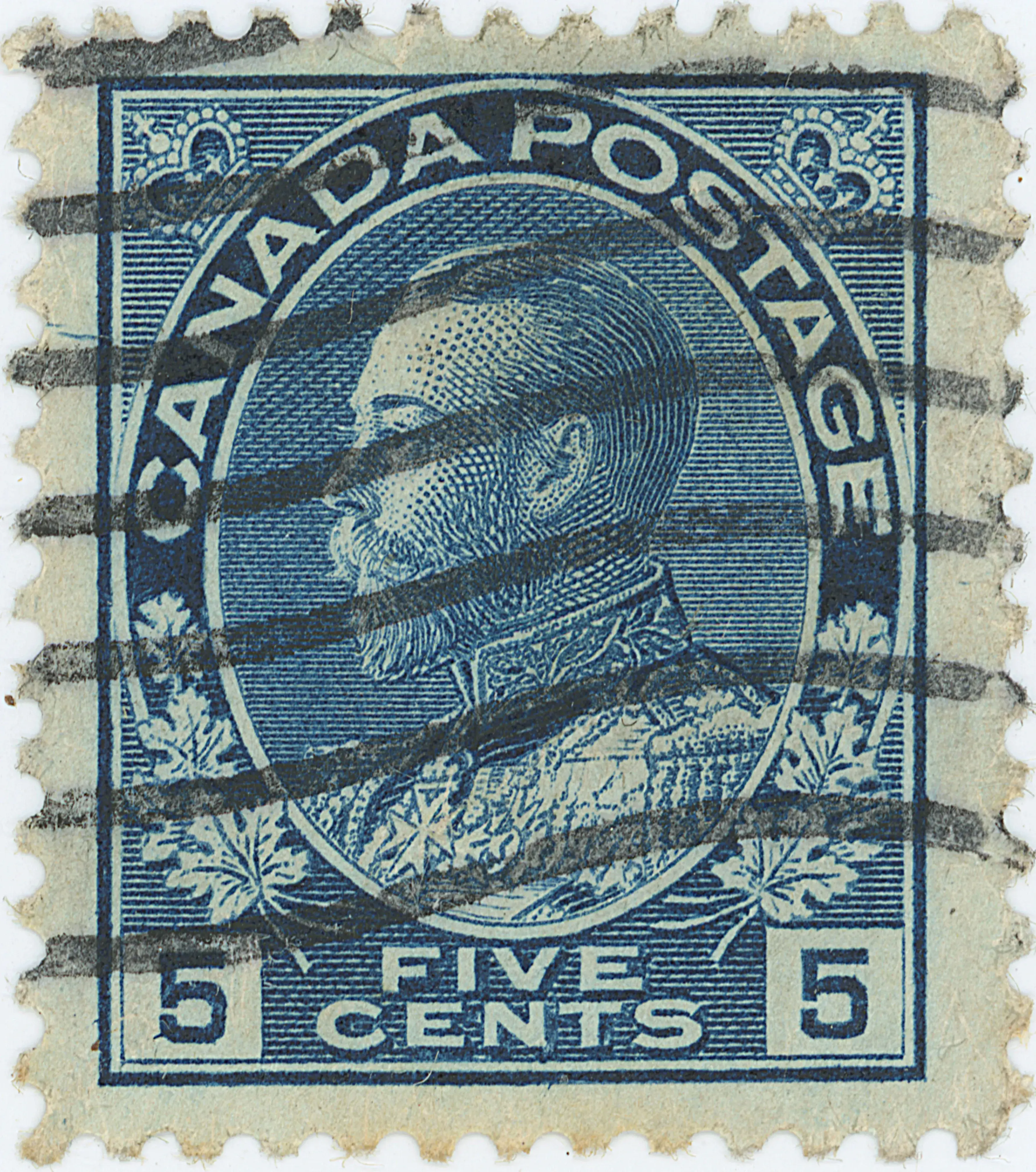 5¢B F Z8 AA b.webp